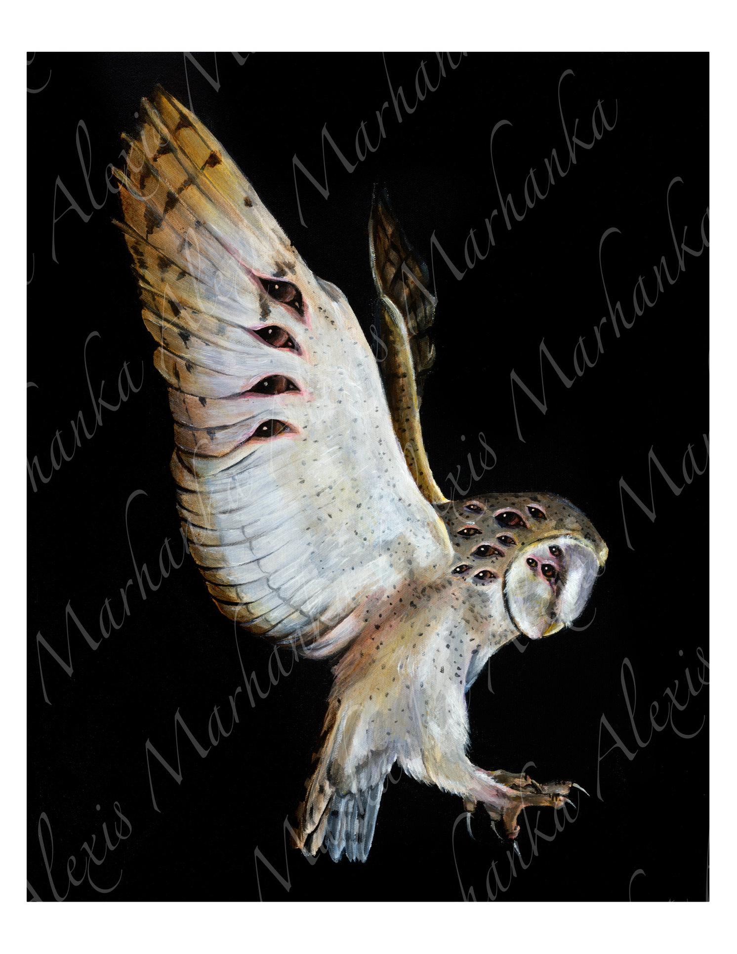 Barn Owl Acrylic Painting