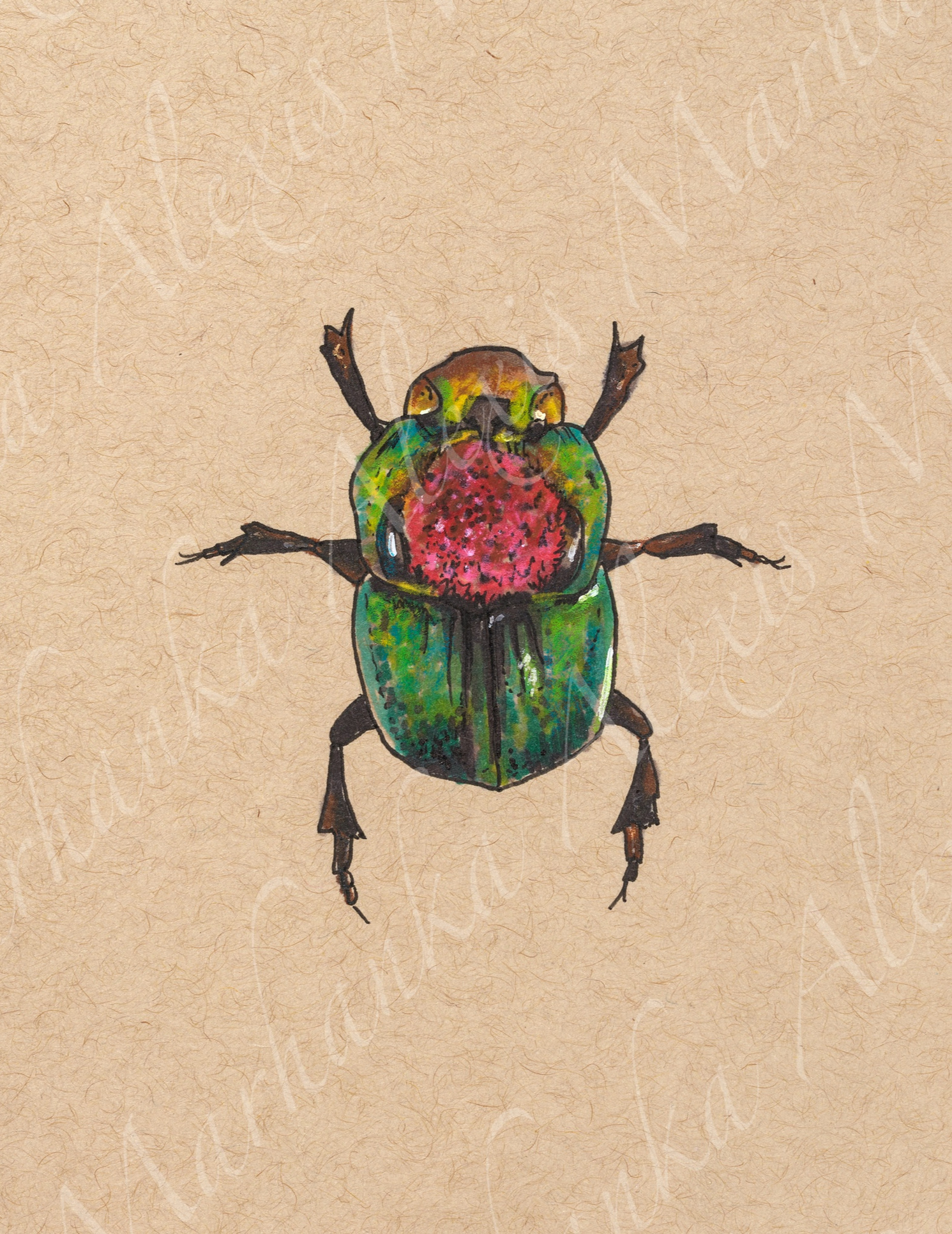 Rainbow Scarab