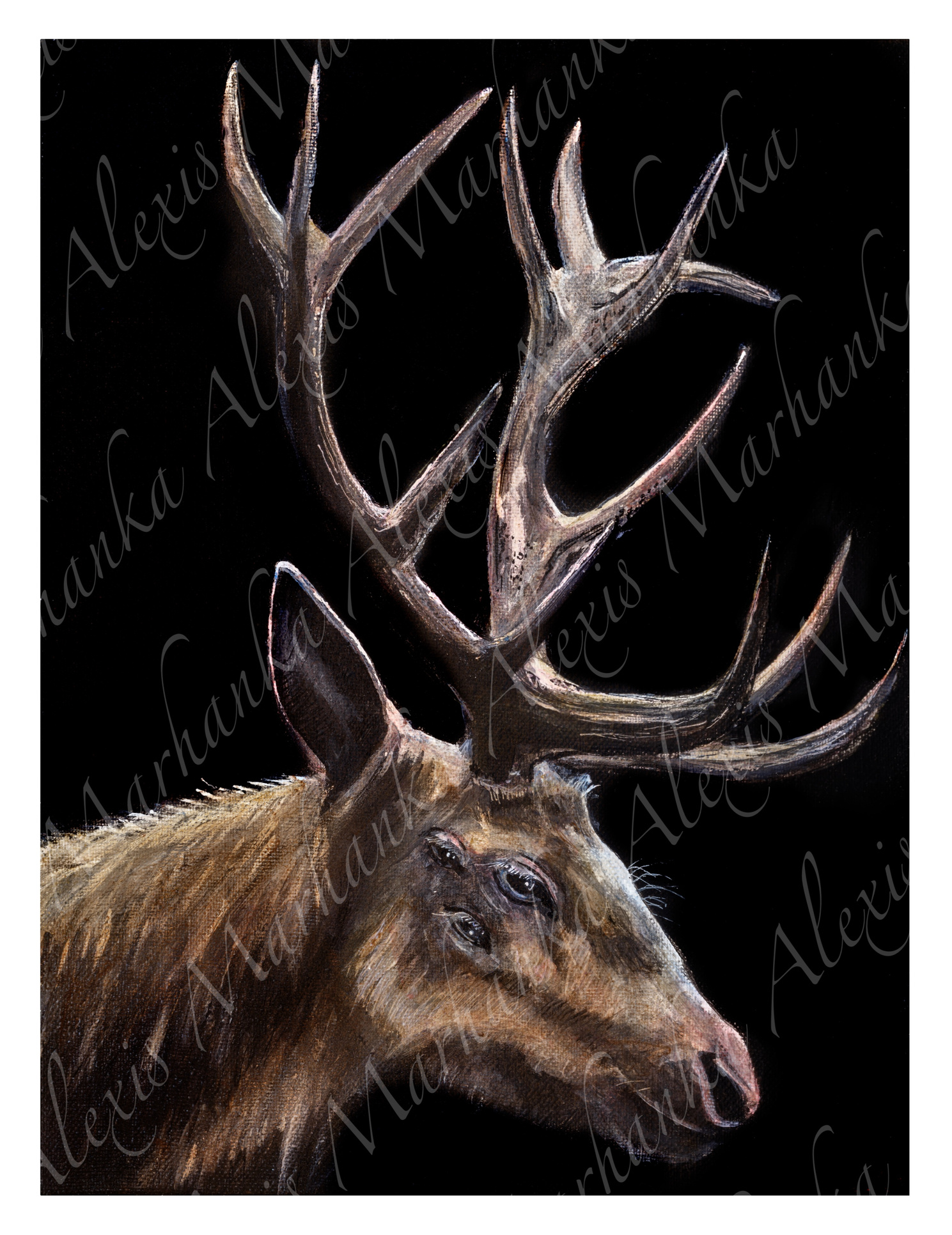Elk Acrylic Painting