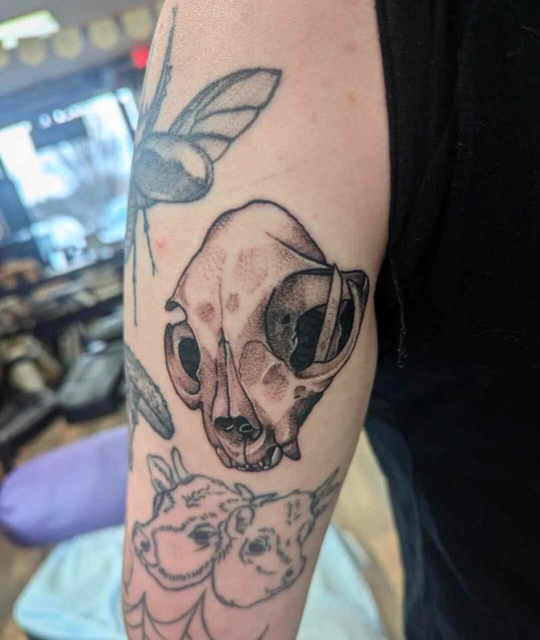 Cat Skull