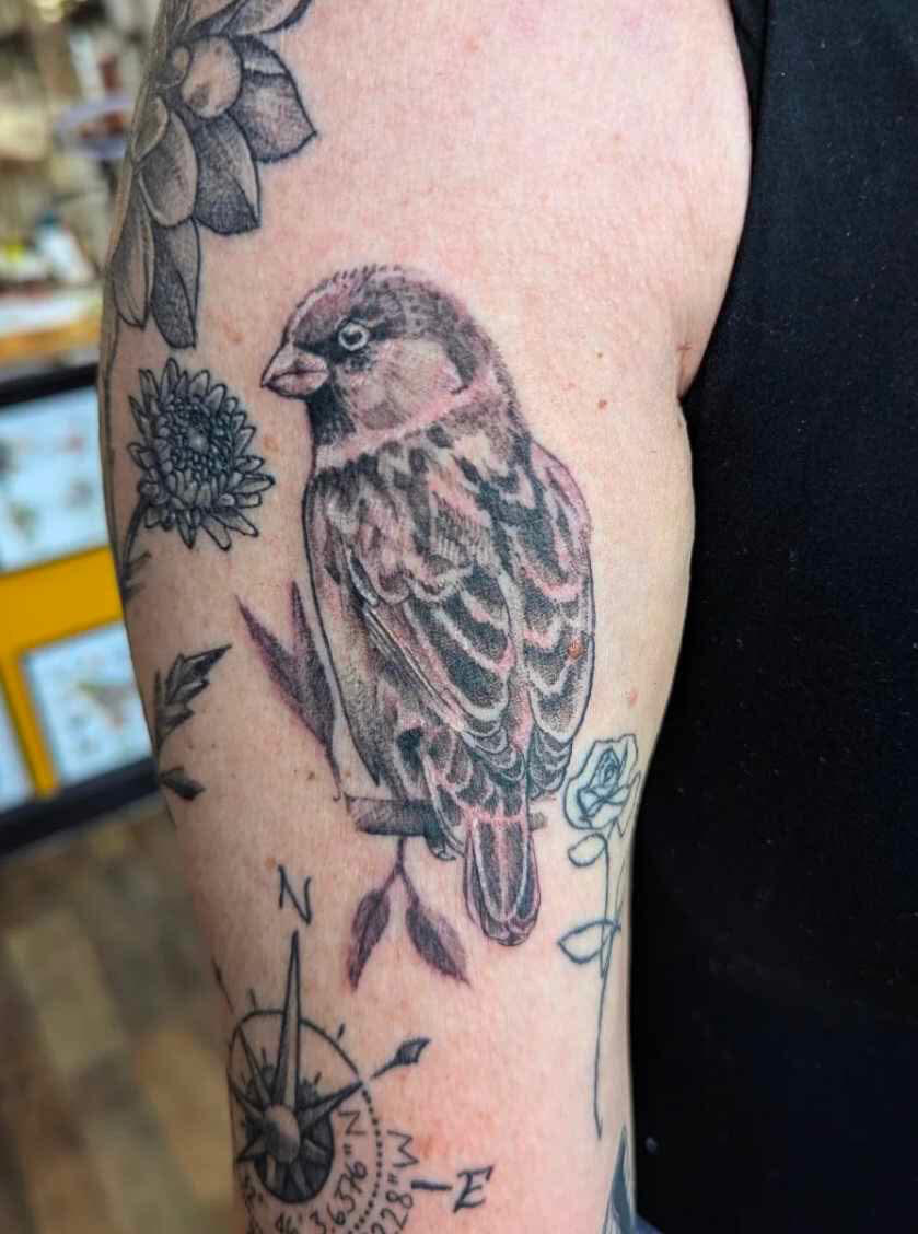 Sparrow