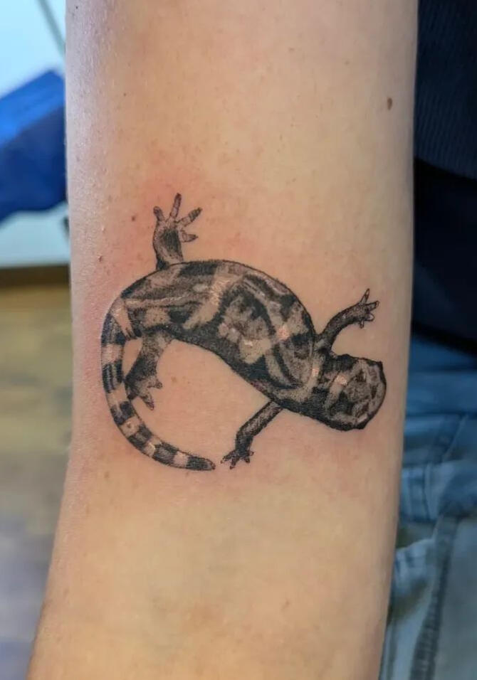 Marbled Salamander