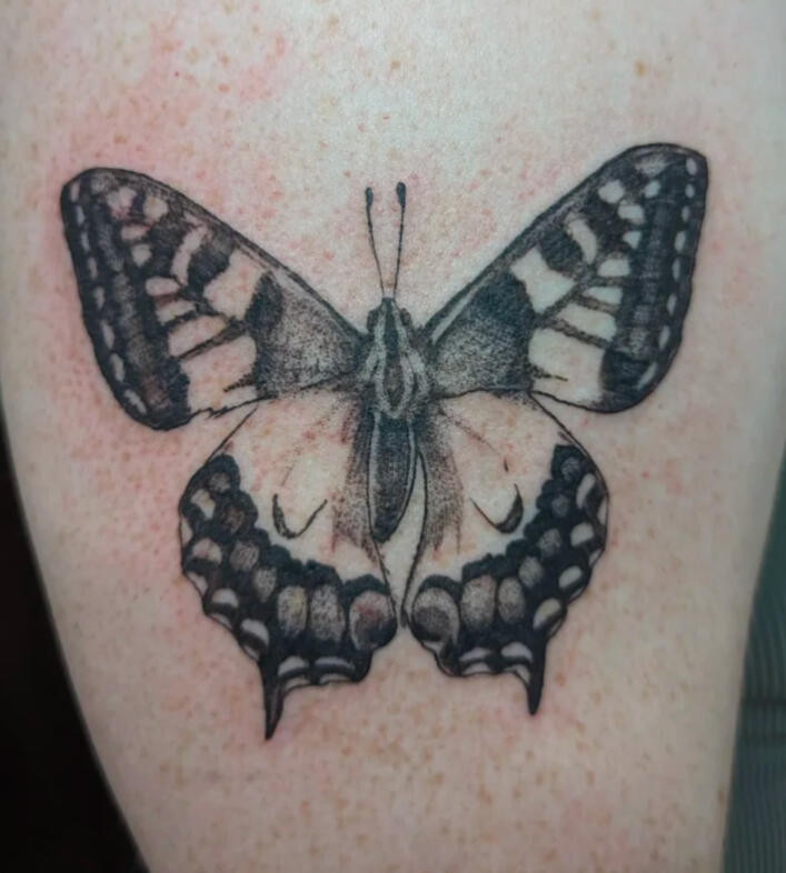 Tiger swallowtail