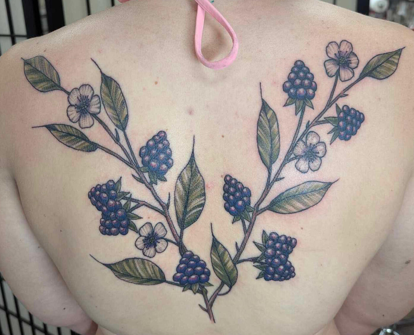 Blackberry Branches and flowers