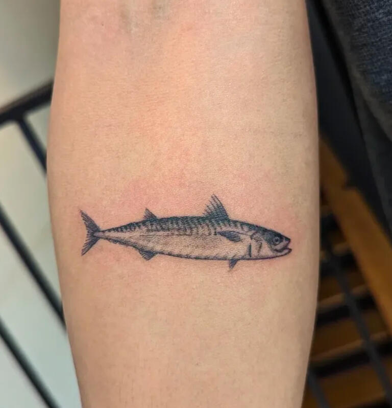 Mackerel