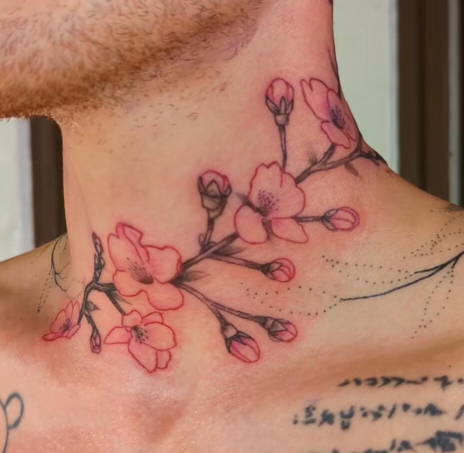 Cherry blossoms