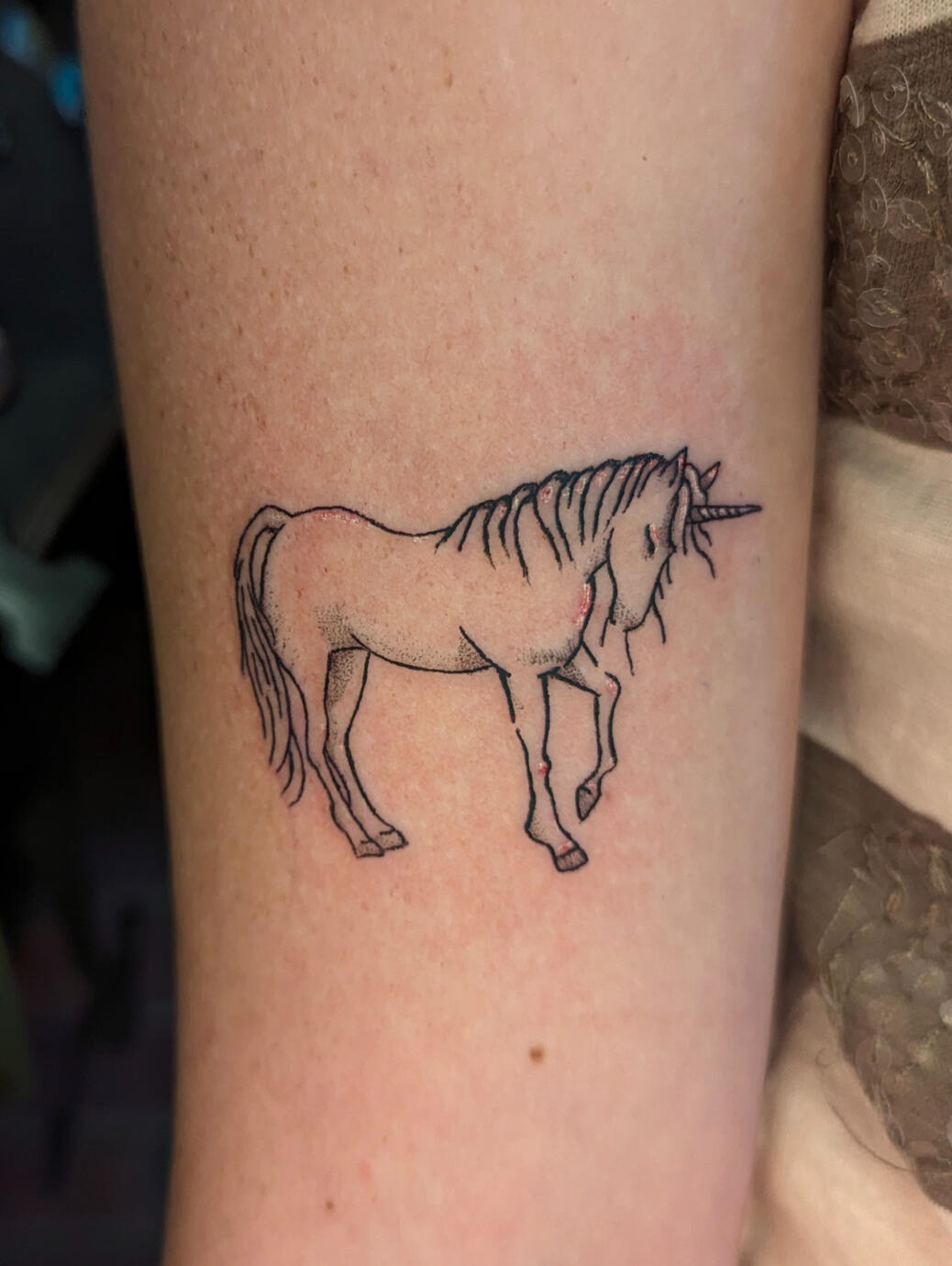 Unicorn