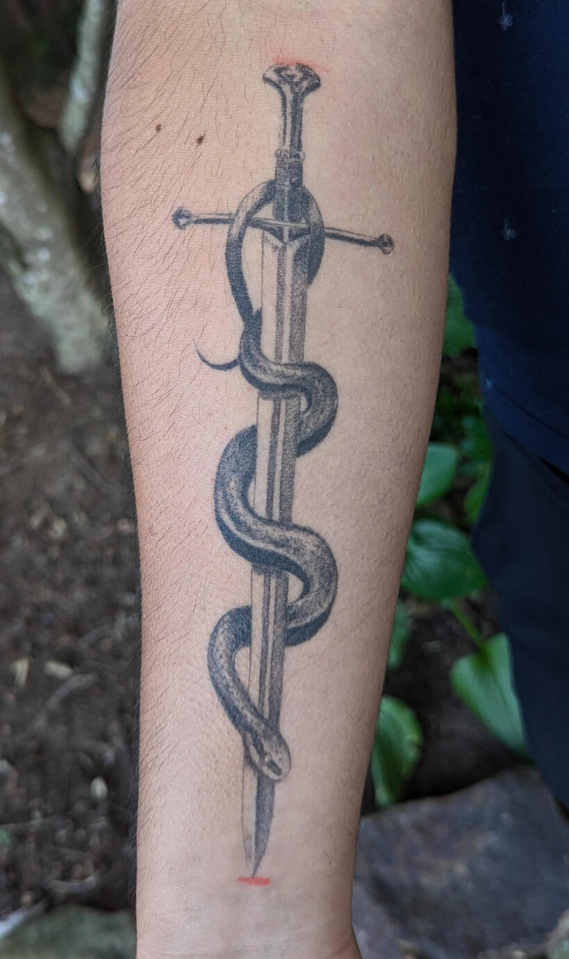 Snake and Sword Healed