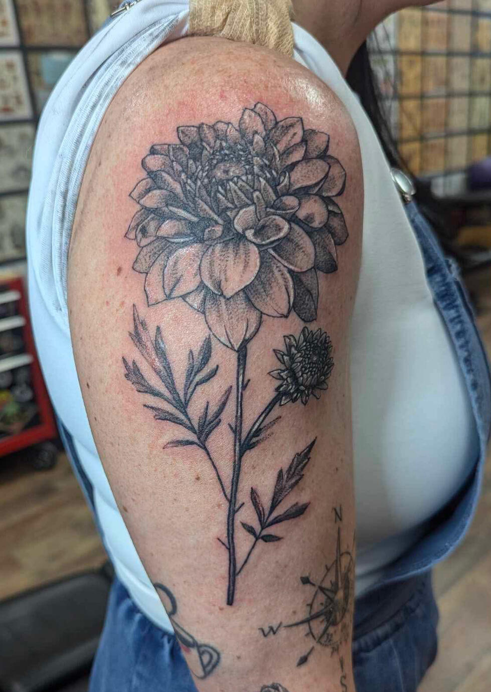 Dahlia