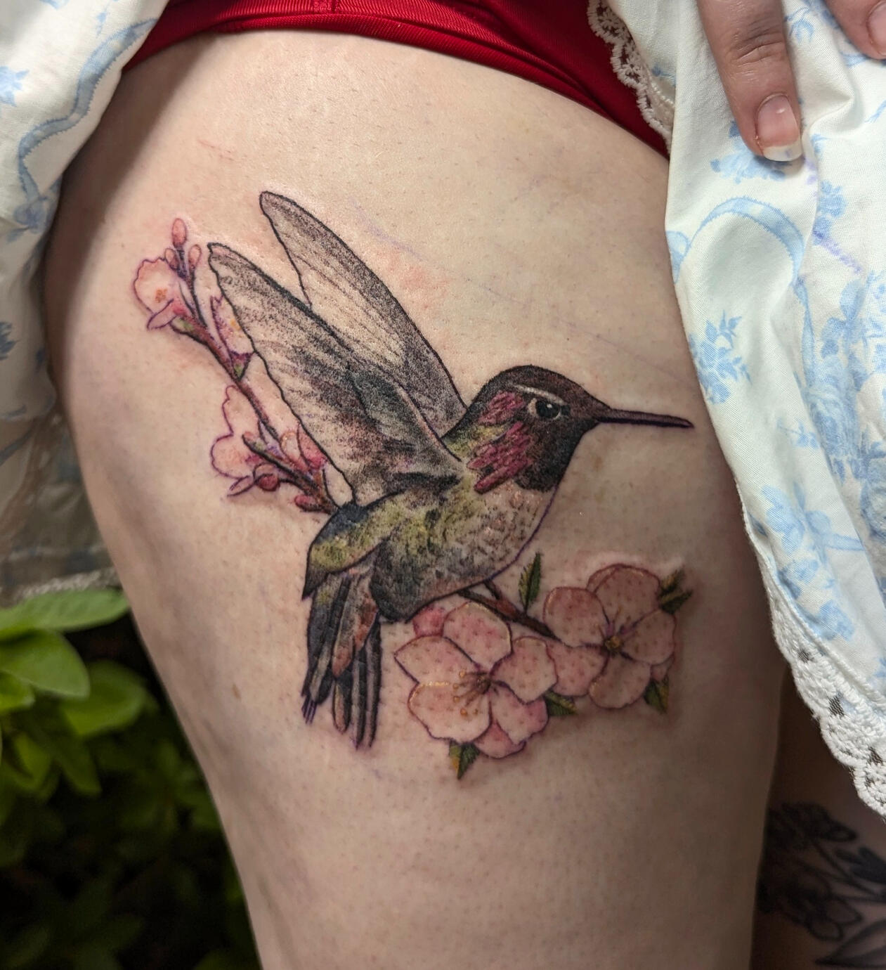 Hummingbird & Cherry Blossoms