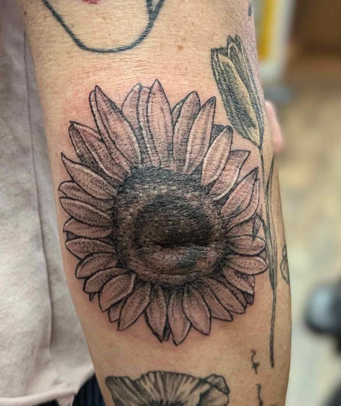 Elbow Sunflower
